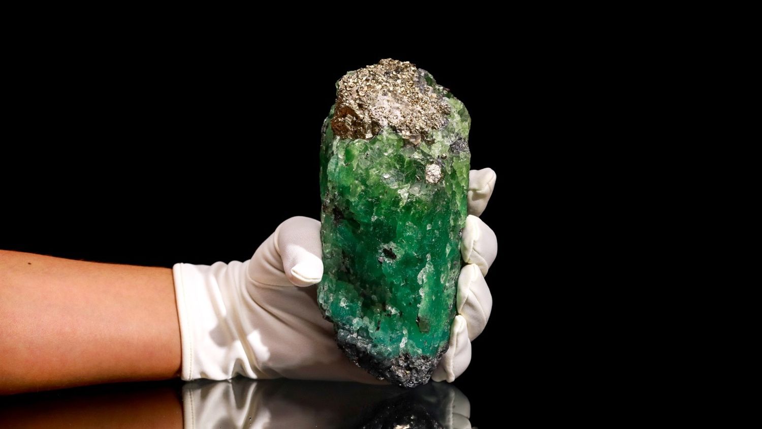 Crowned Fluorite Torch held in a gloved hand for scale